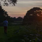 Sunset Walk Through The Farm Fields
