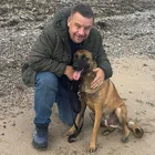 German Shepherd With Handler Outdoors