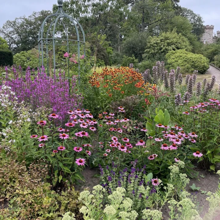 Cholmondely Gardens