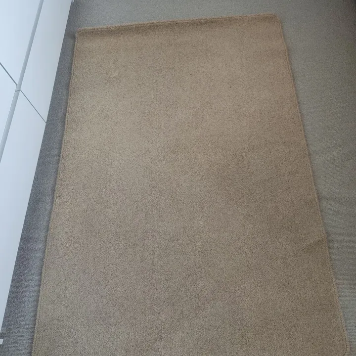 Rug/ Carpet – Items free to a good home!