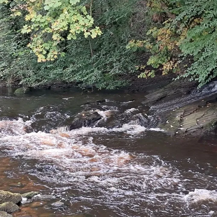 884642_attraction_river2