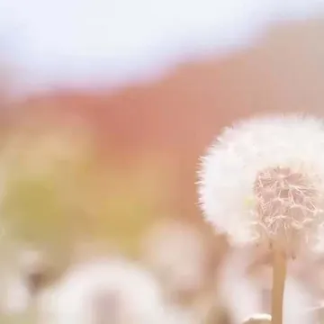 Charity Video