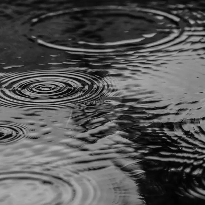 Puddle, nature, water, rain, splash, monochrome