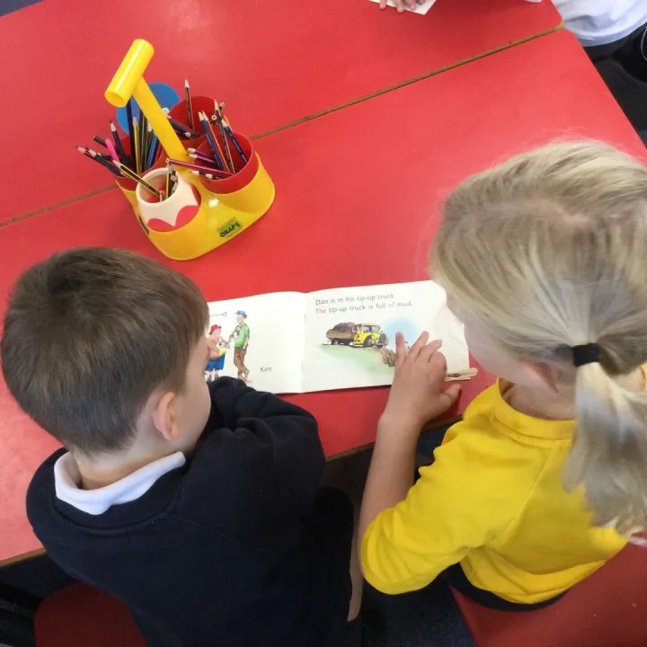 Y1 perfect partner