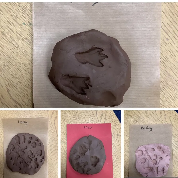 Fossils