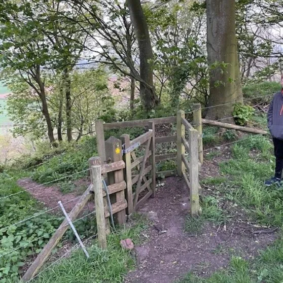 Wooden kissing gate on a path through trees on a hillside, with a yellow footpath arrow on the gatepost