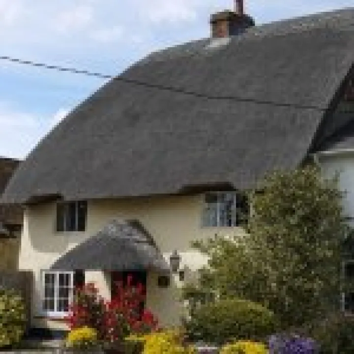 Cottage 02