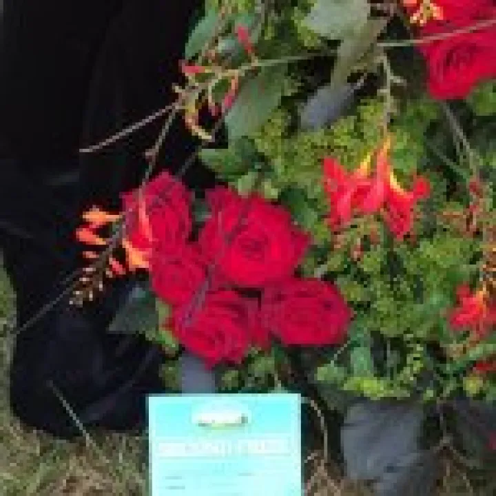 Nantwich Show 2015