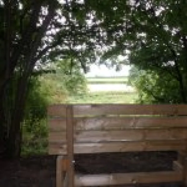 New bench