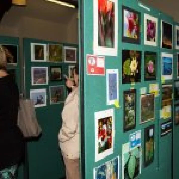 Some of the photography section