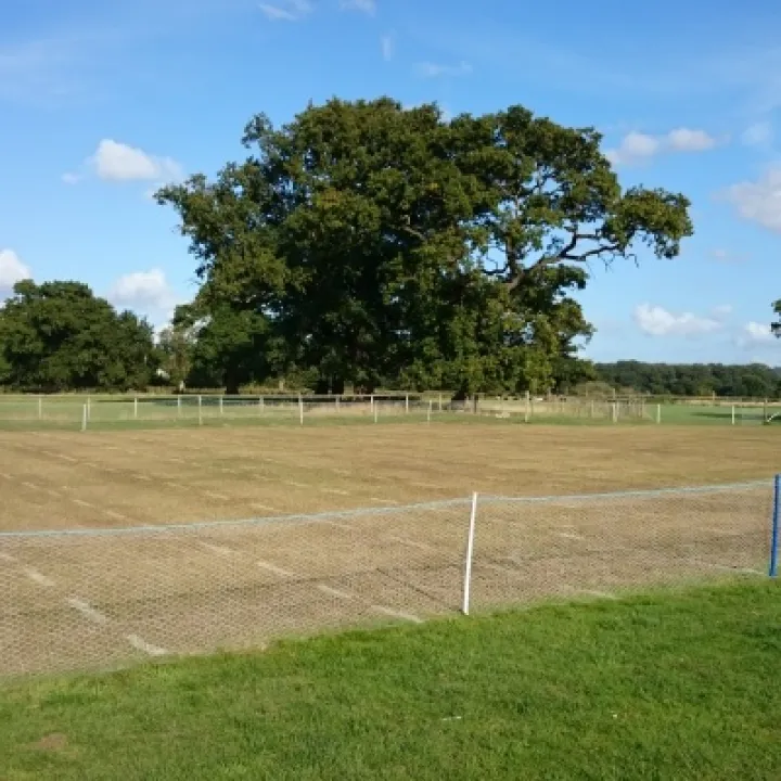 Croquet Gridlines