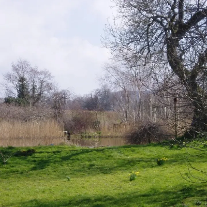 March The Mill Pool