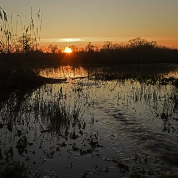 Millbrook Sunset