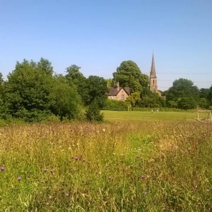 Millennium Green Main