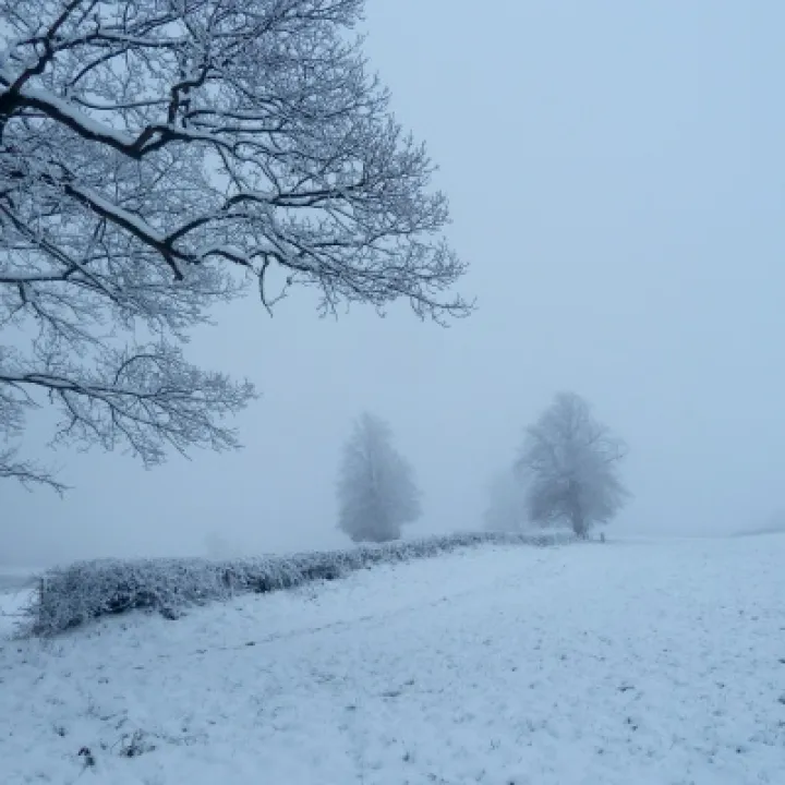 DJW Snow 010