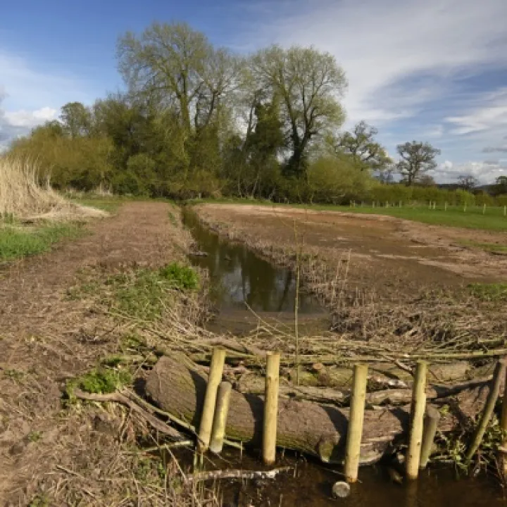 Millbrook Wetlands (3) April 2016 Web copy