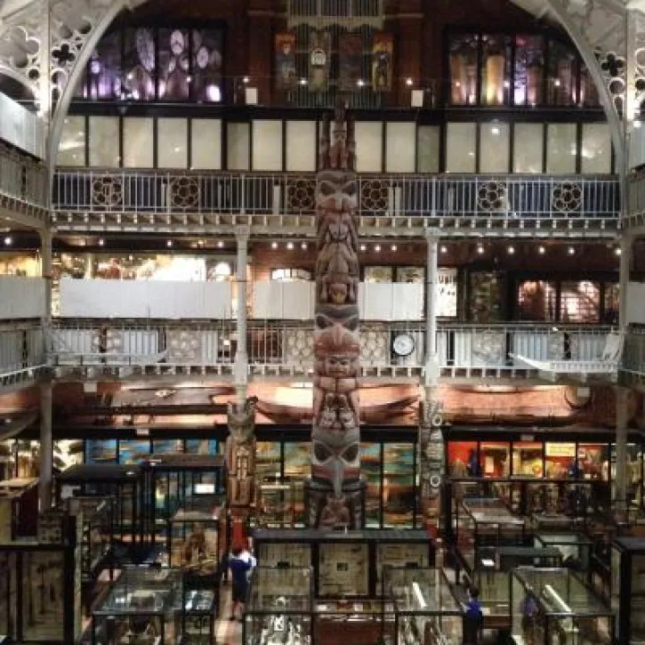 Haida Totem Pole – Pitt Rivers Museum, Oxford