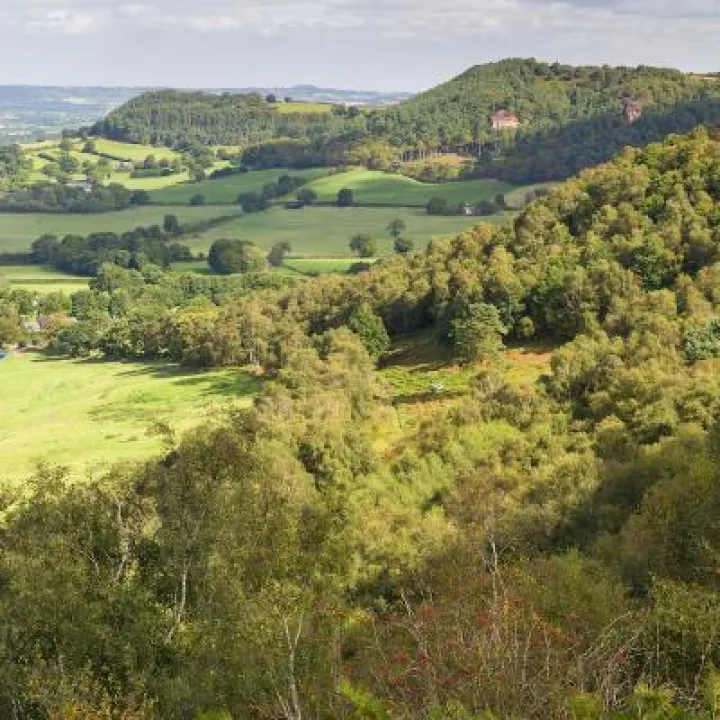 Maiden Castle in August 24