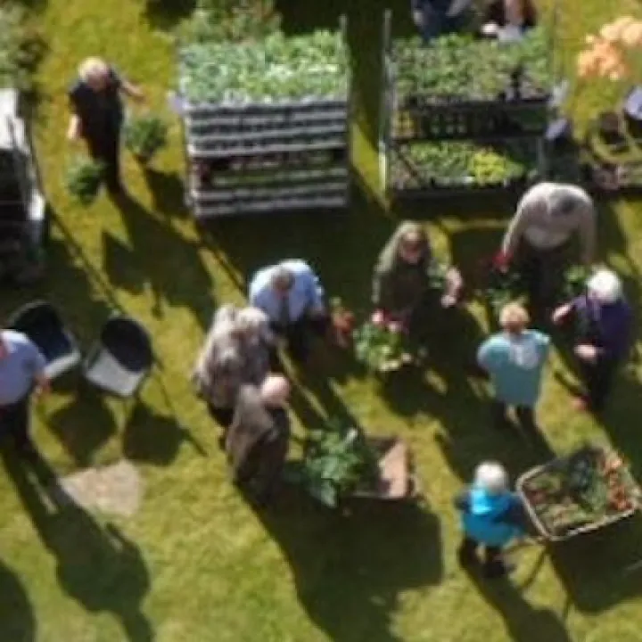 plant sale