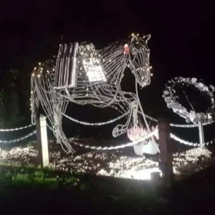 war horse