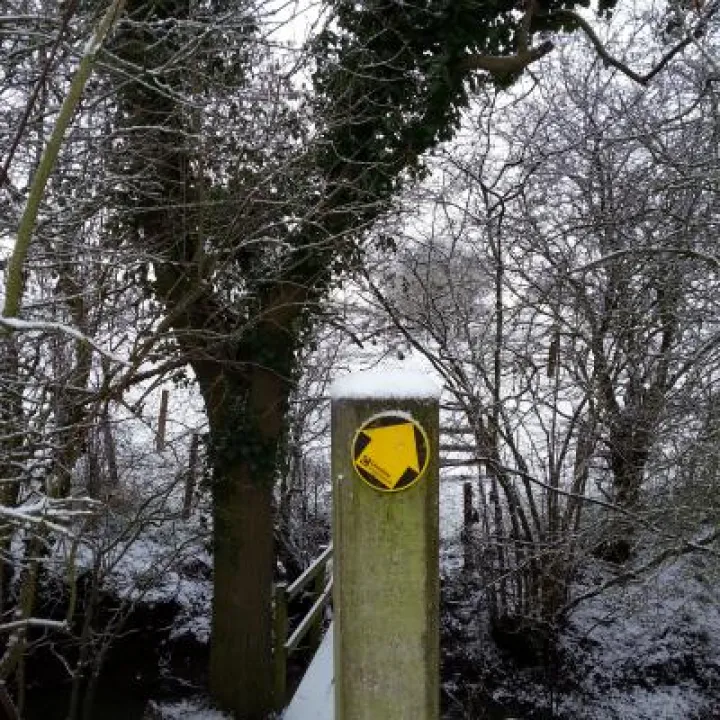 20190130_092434