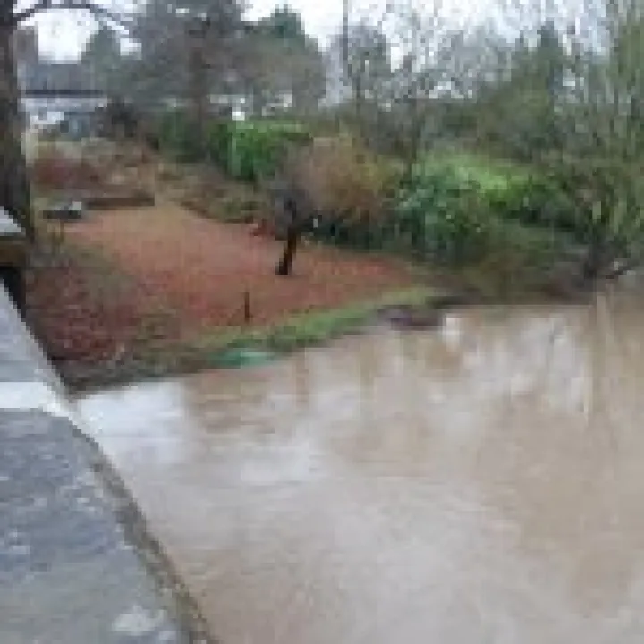 Weaver flood 010