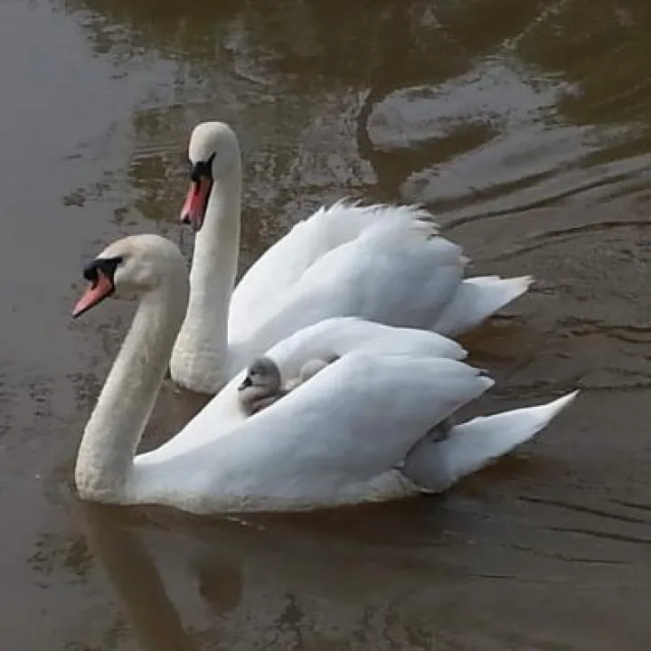 Image: 20190524_094853