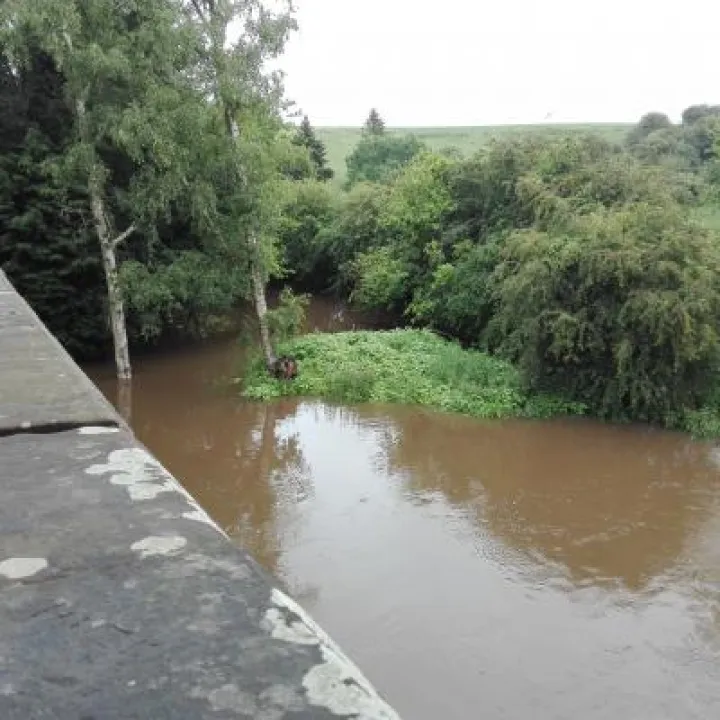 Weaver Bridge