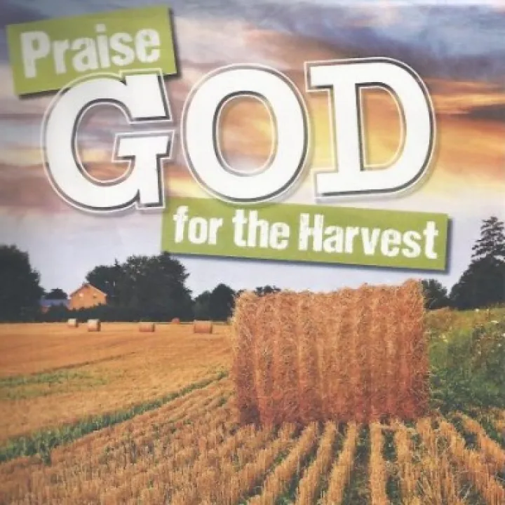 Harvest '19