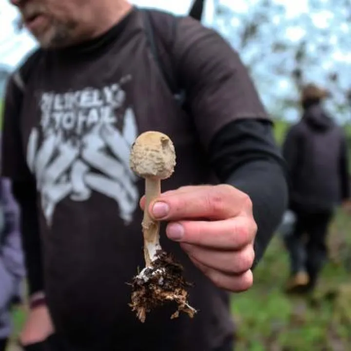 Fungal Foray 7