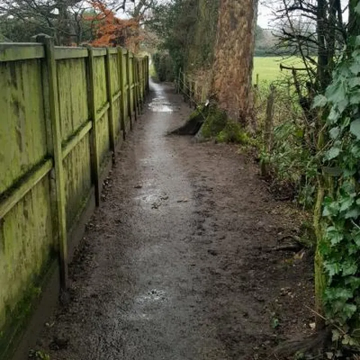 Footpath pic1 Jan 2020