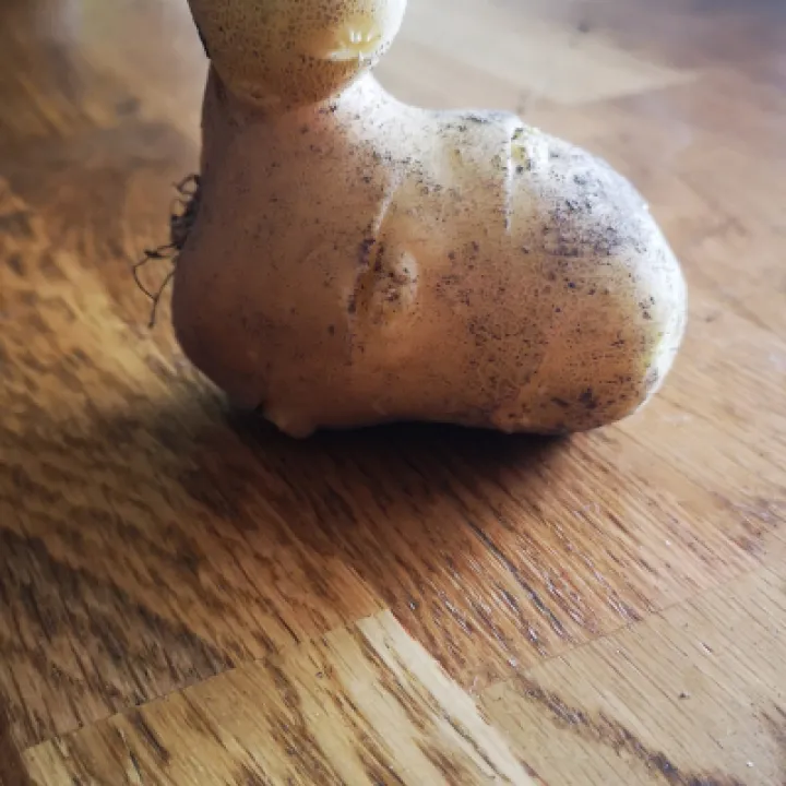 Spuds 6