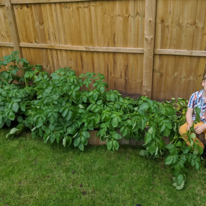 Spuds 19
