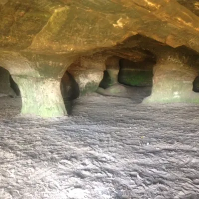 cave Frod
