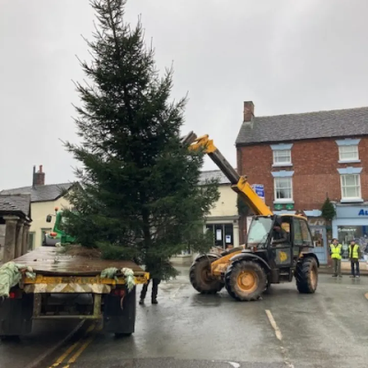 ADAS 1- Tree Arrives