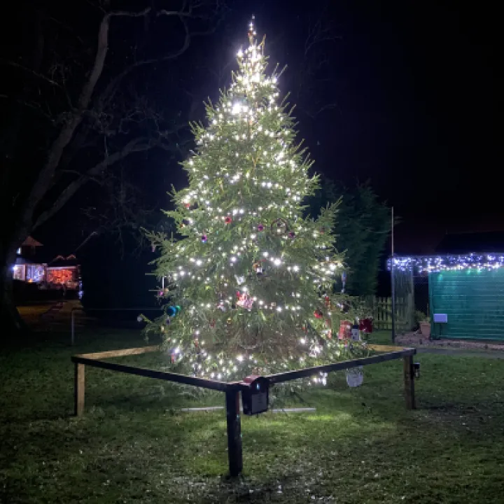 Adderley Lights