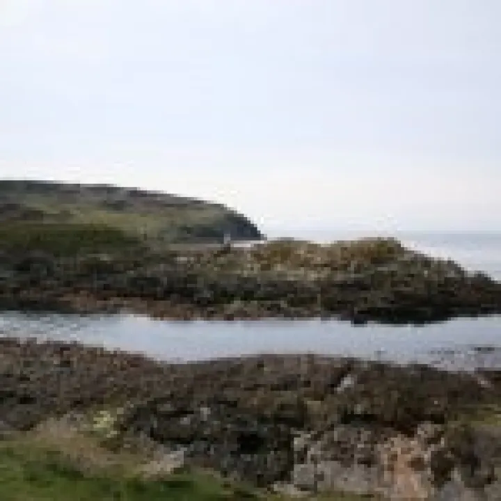 20070515 0044