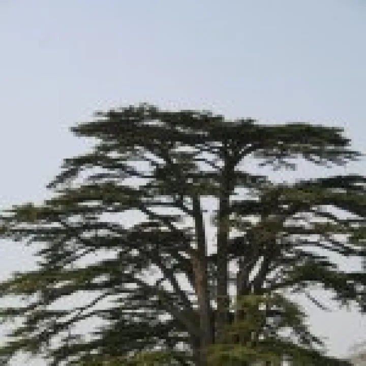 20060510 0052