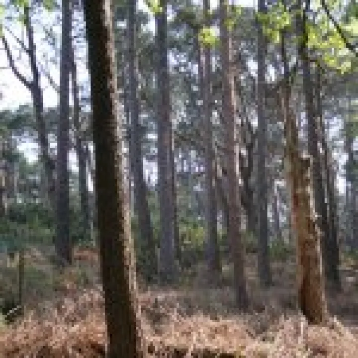 20060511 0067