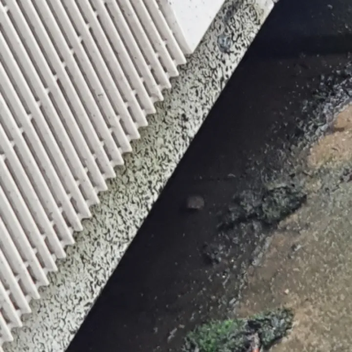 Roy Plume Drainage