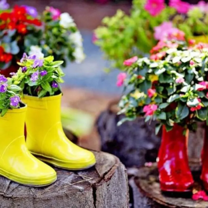 Welly Walk 1