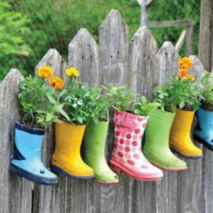 Welly Walk 4