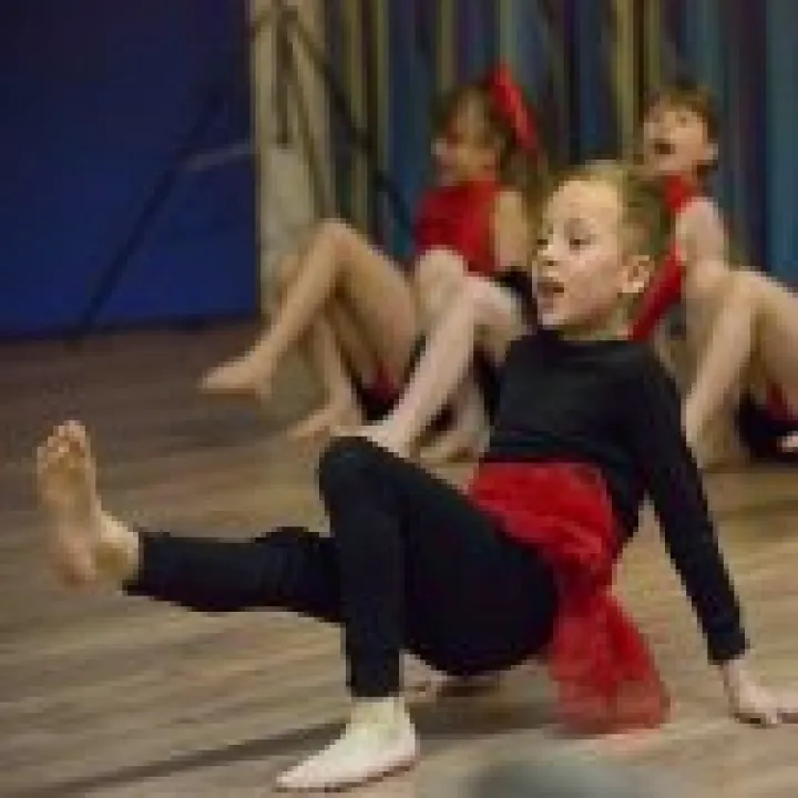 HASSP Dance Festival 08