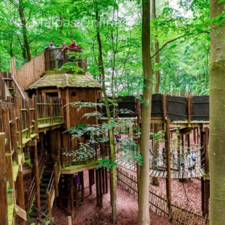 BeWILDerwood