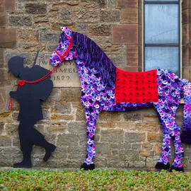 War horse outside of Etherley MC