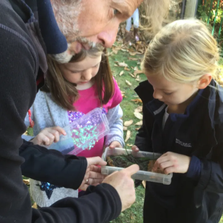 Minibeasts