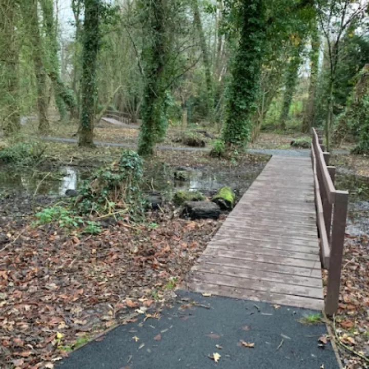 Spinney new GC3