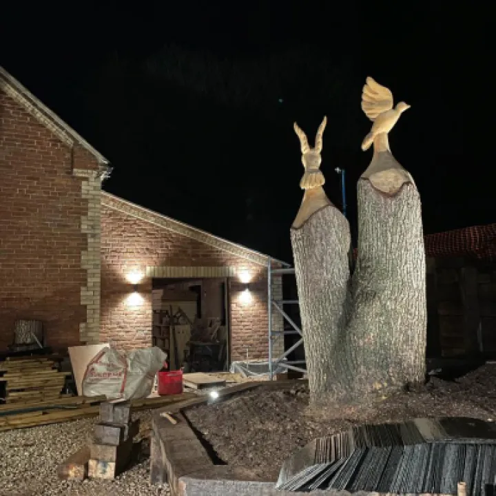 Youth Room and Garden at night