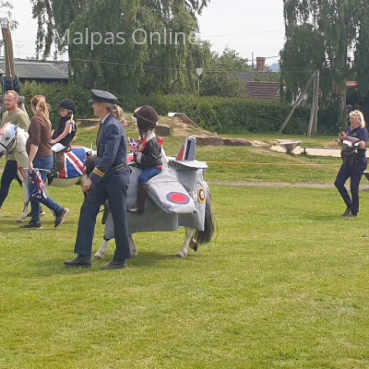 RAF Pony