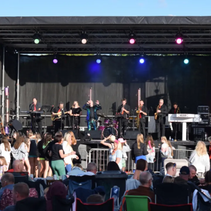 The Godfathers Of Soul Perform On Stage  1